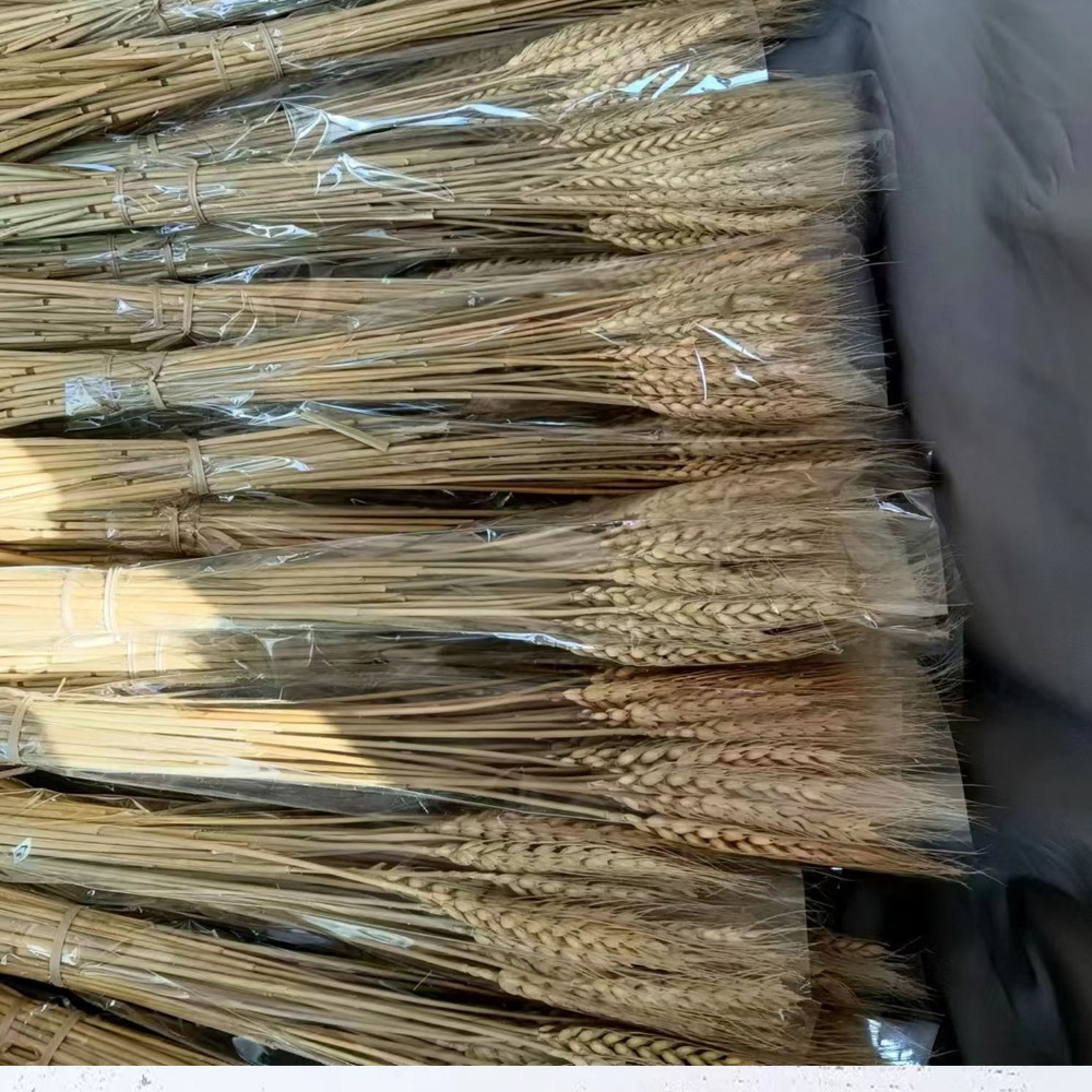 Wedding Ceremony Supply - 50pcs Bunga Buatan Batang Gandum Kering