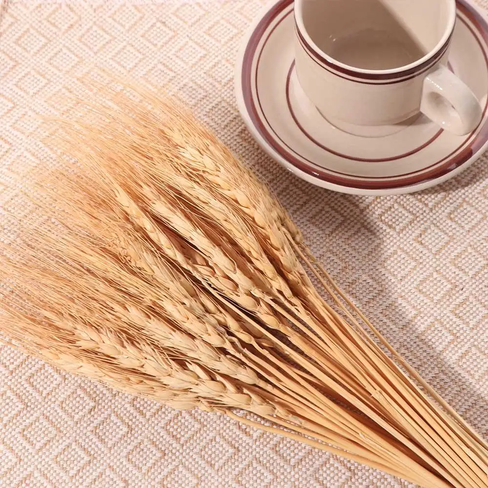 50pcs Bunga Buatan Batang Gand - Wedding Ceremony Supply ulasan dan harga